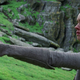 Illustration for article titled Luke Skywalker has a question in newly revealed iLast Jedi /ifootage